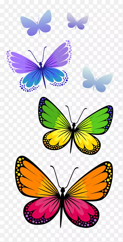 蝴蝶桌面壁纸夹艺术水彩画蝴蝶