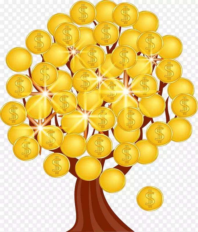 钱币树印度卢比-货币树