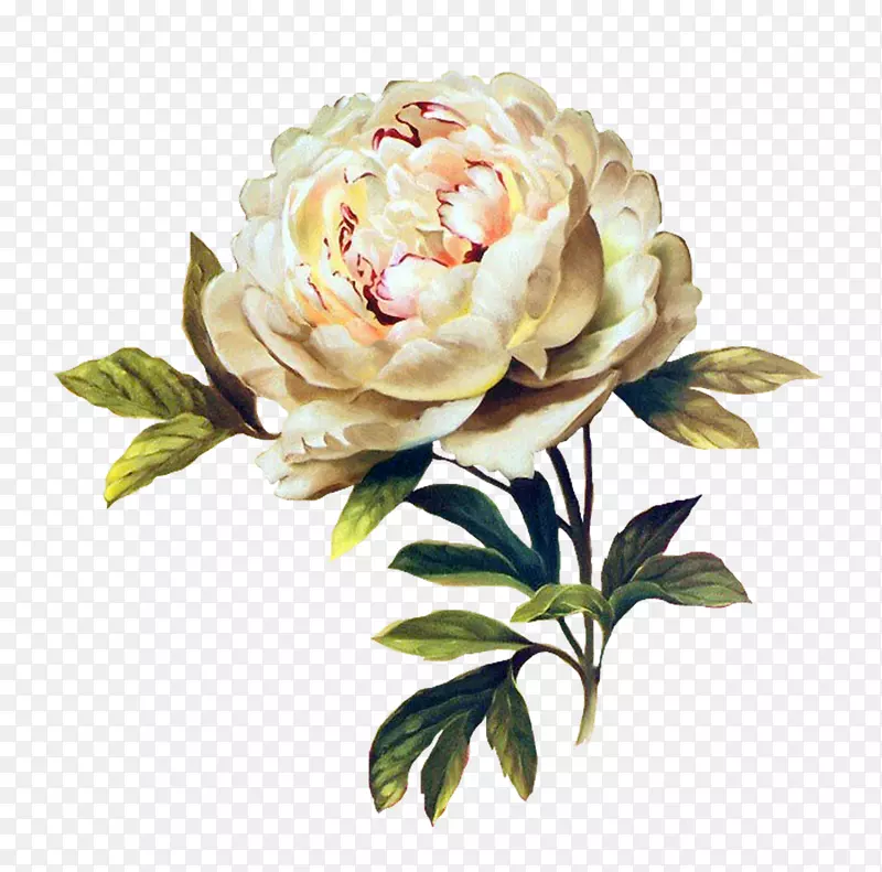花卉设计玫瑰彩绘马赛克花纹