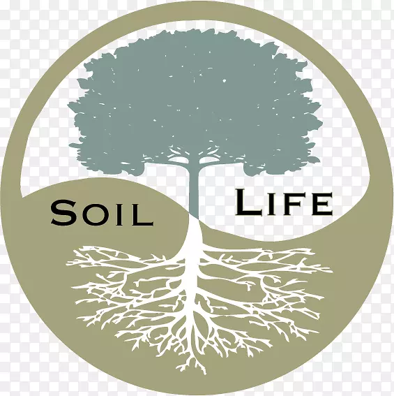 土壤肥料化学物质污染土壤