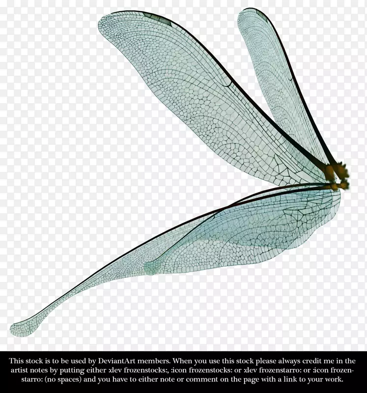 蜻蜓昆虫翅膀剪贴画-龙飞