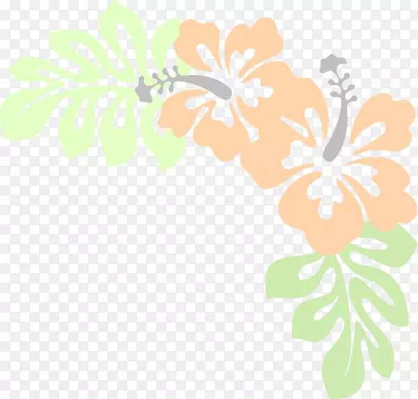 夏威夷花芙蓉剪贴画-桃花