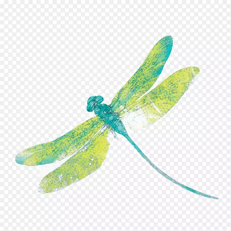 昆虫奥斯本&小蜻蜓纺织壁纸-龙蝇