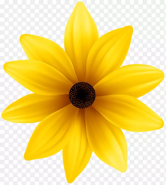 花黄色蓝色剪贴画-黄色花朵