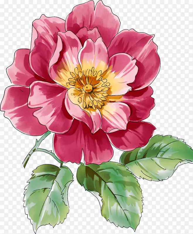 花卉最佳玫瑰水彩画