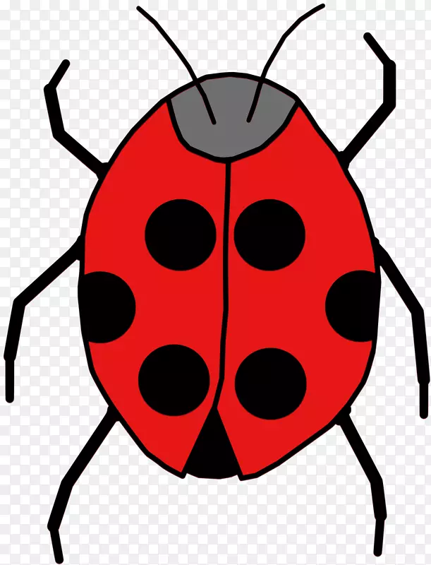甲虫-瓢虫动画剪贴画-瓢虫