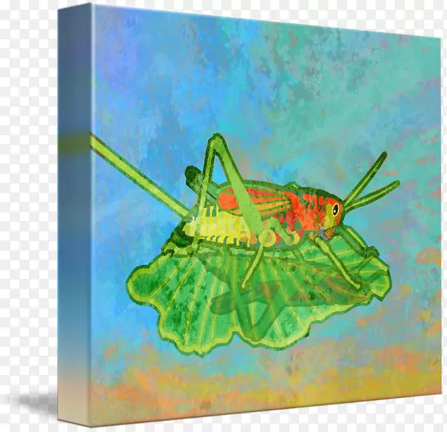 蝴蝶昆虫绘画艺术-蚱蜢