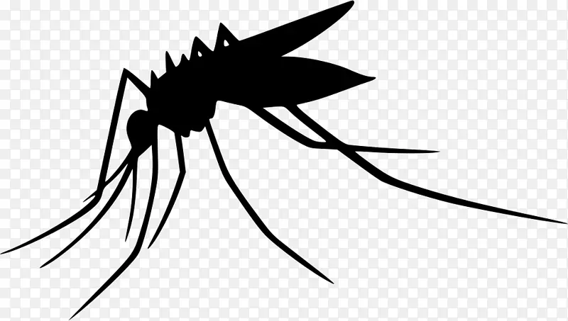 蚊子电脑图标剪贴画-蚊子
