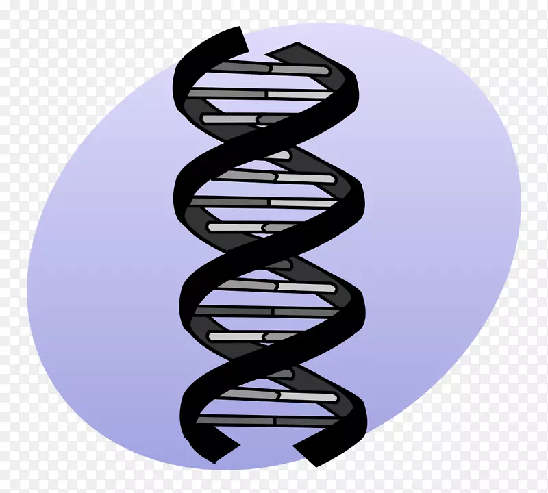 DNA测序遗传学突变