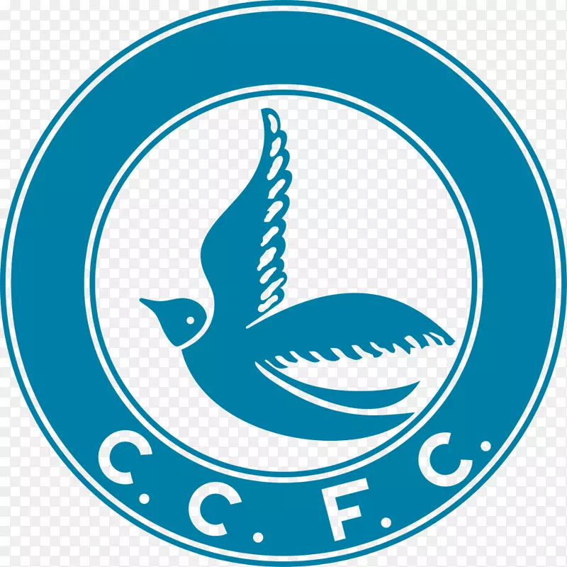 卡迪夫市F.C.威尔士超级联赛EFL冠军-富勒姆F.C。
