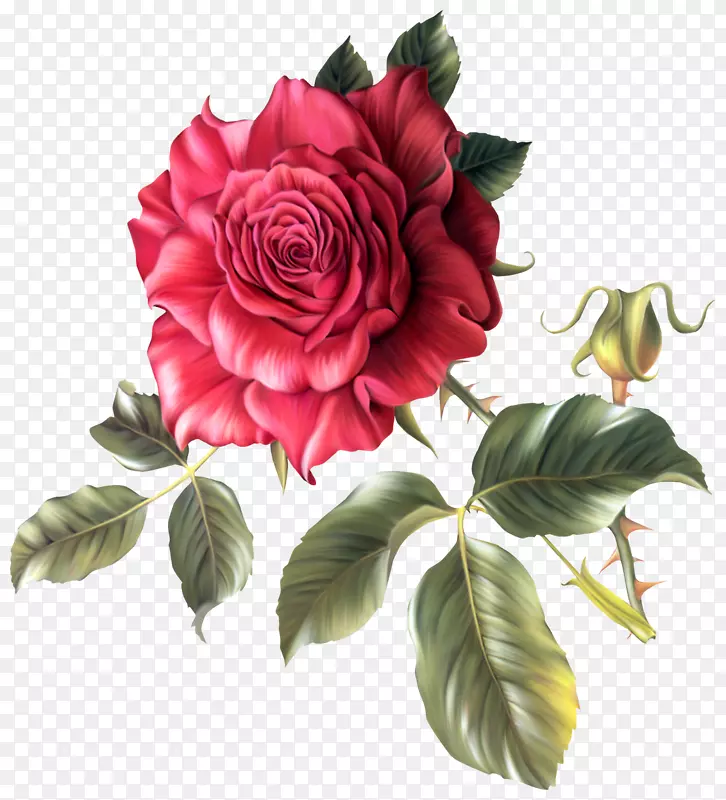 花卉花园玫瑰剪贴画.紫红色框架