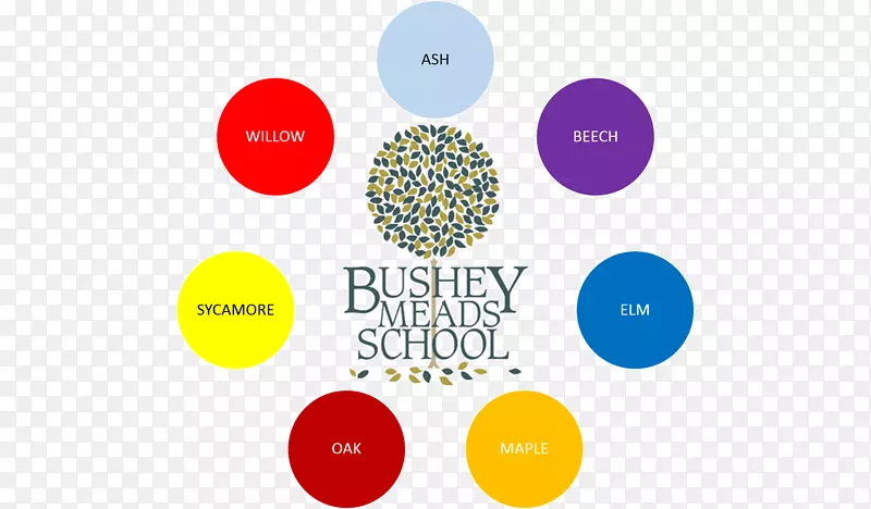 布希米兹学校系统图形设计-游戏攻略