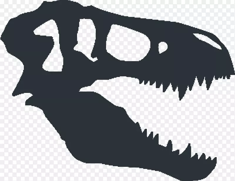 暴龙恐龙化石头骨恐龙载体