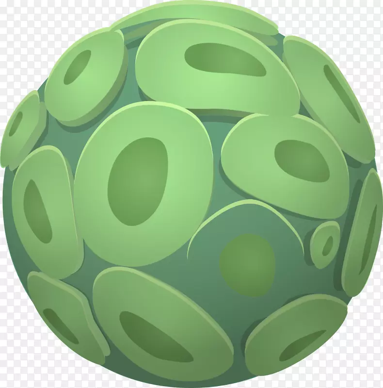 绿藻植物细胞-有机