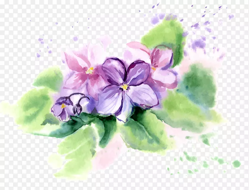 非洲紫罗兰花水彩画.紫罗兰