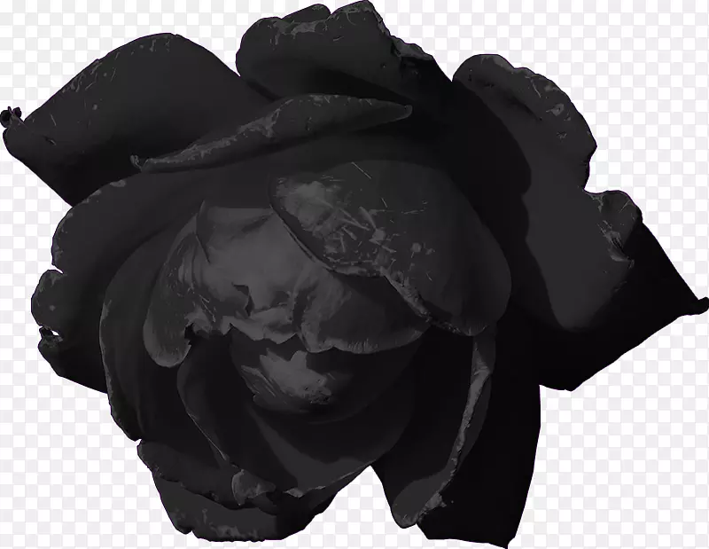 黑玫瑰黑暗诗-哥特