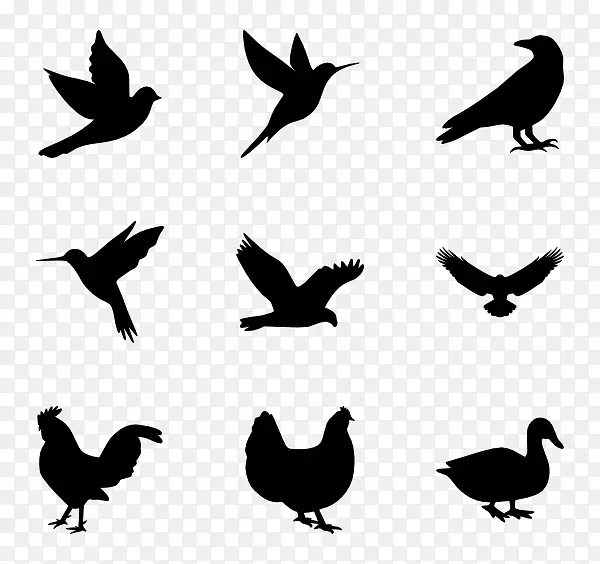 鸟类计算机图标.鸟类轮廓