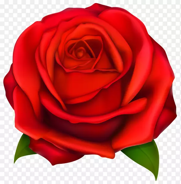 玫瑰剪贴画-红玫瑰
