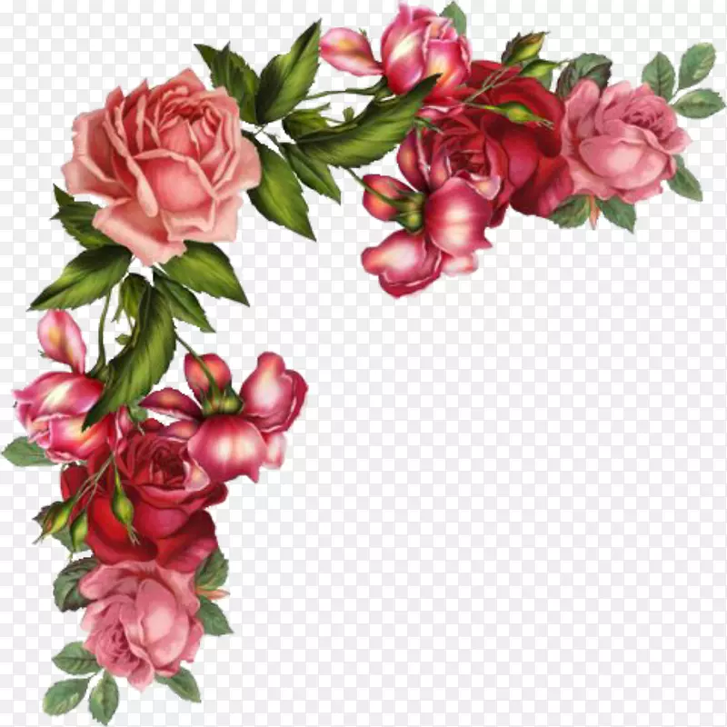 玫瑰花数码图像剪贴画-花卉古董