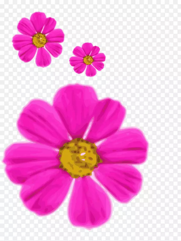 粉红色花朵图像文件格式普通雏菊-紫色花