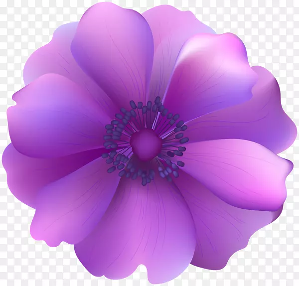 电脑图标紫色剪贴画-紫色花