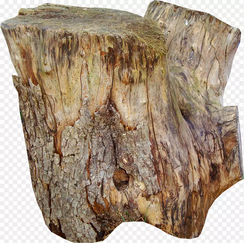 桌子树干树桩-树桩