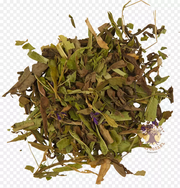 喀山Berdsk Zelenodolsk红茶-绿茶