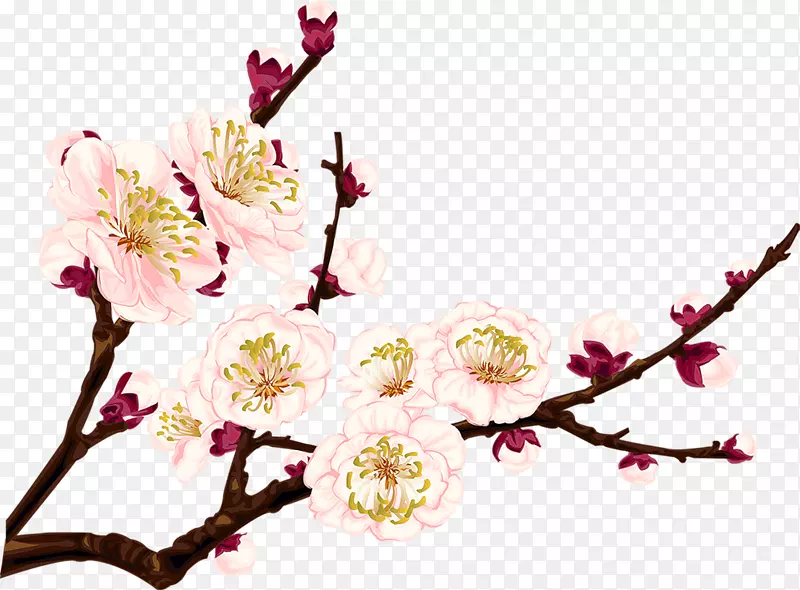 梅花画片艺术-花
