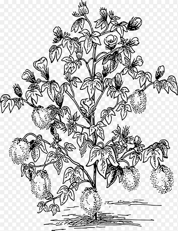 棉花拉丝机剪贴画.棉花