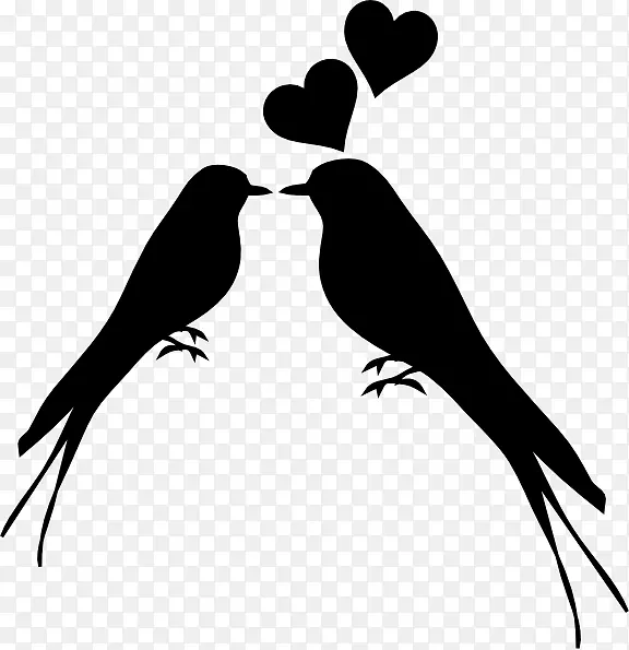 爱鸟剪贴画-爱情鸟