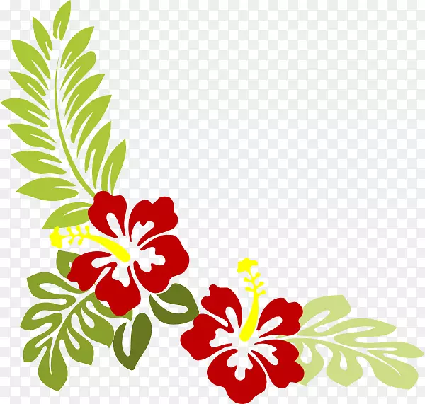 木棉，夏威夷木槿，剪贴画-热带花