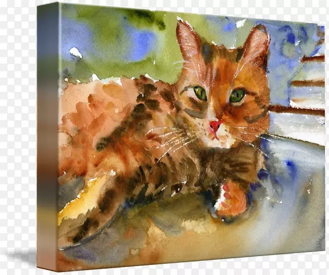 猫水彩画-水彩画动物