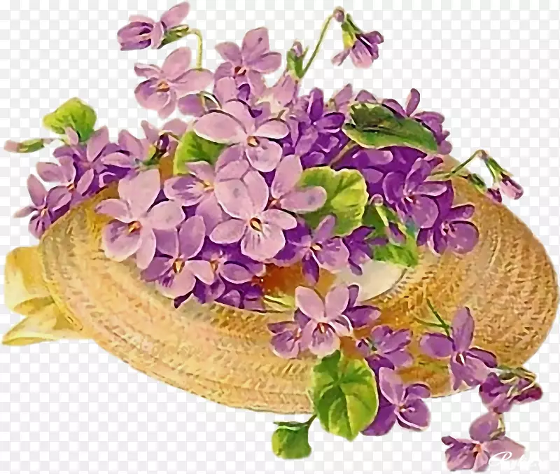 花卉设计紫罗兰-陈年花卉
