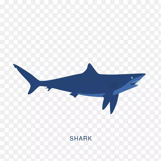 鱼海报-鲨鱼