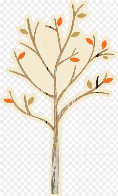 叶枝植物茎橙树