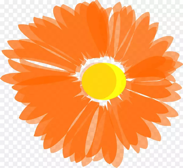 花卉橙色剪贴画-夏威夷