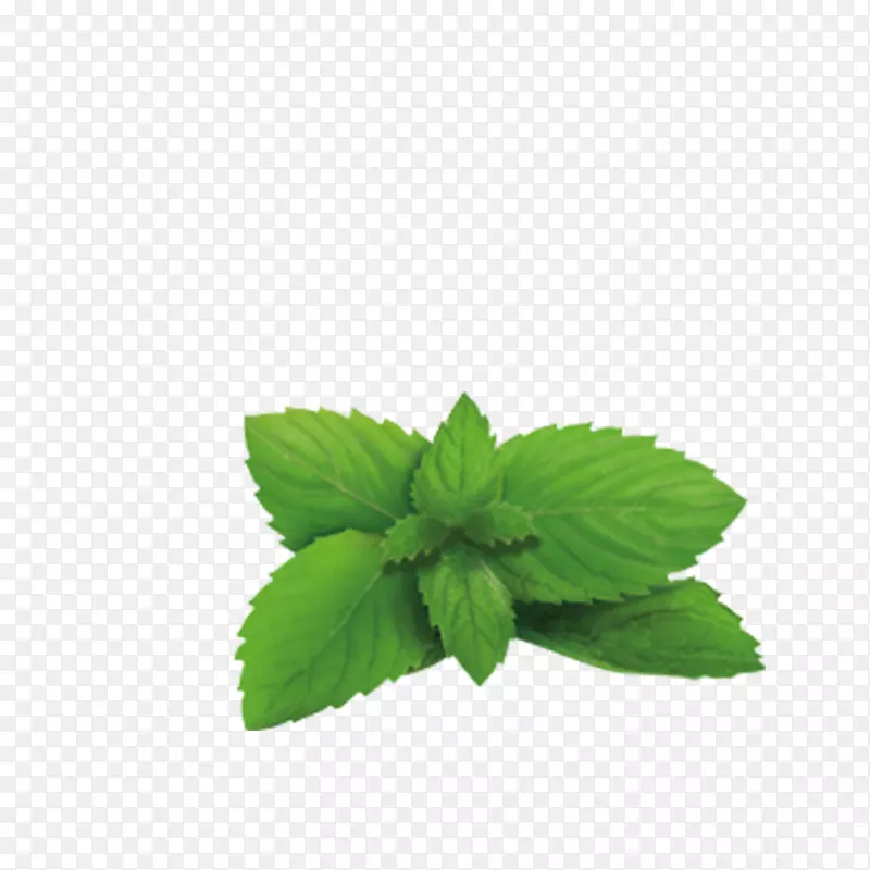 绿茶柠檬香膏植物药草-薰衣草