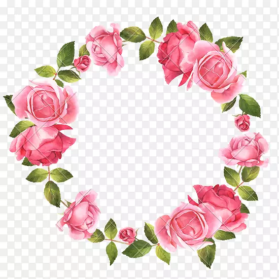 花园玫瑰水彩画花环