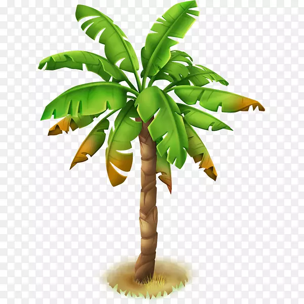 竹-棕榈叶