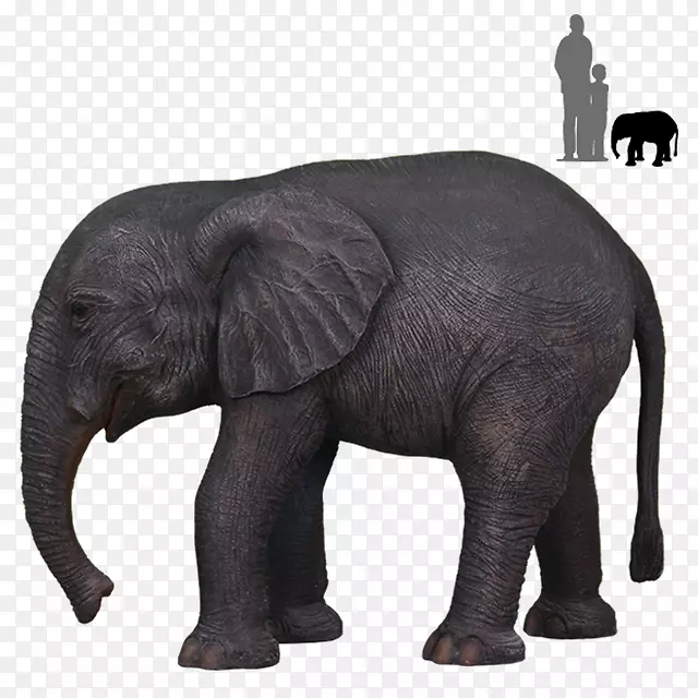 印度象非洲象野生动物大象母象