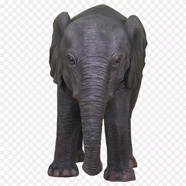 印度象非洲象陆地动物野生动物大象母象