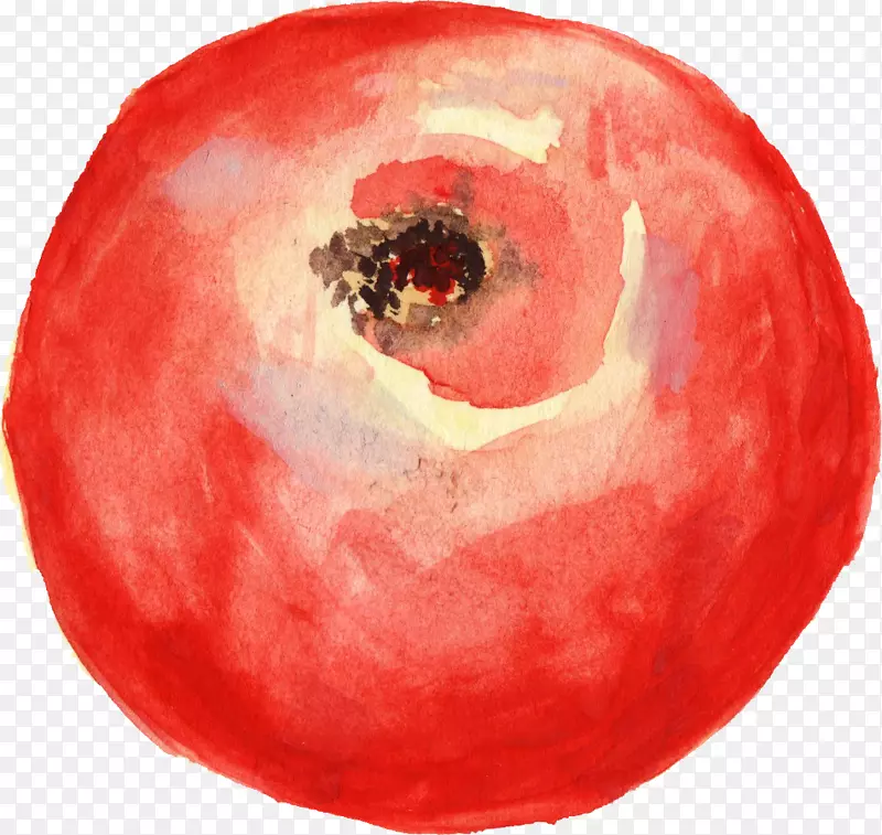 番茄水彩画剪贴画-番茄