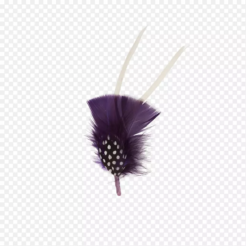 羽毛古林兄弟。紫紫丁香箭
