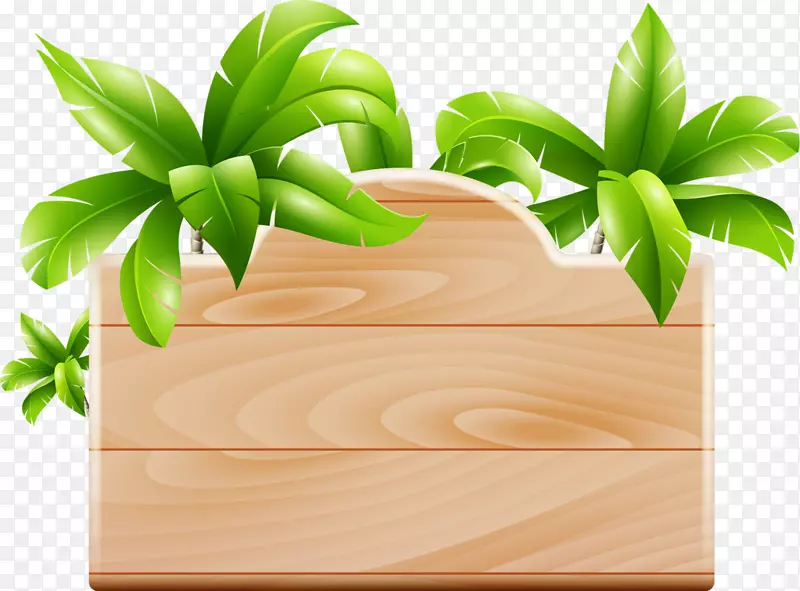 椰子树科封装的后记剪贴画.木制背景