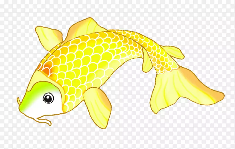 鱼类海产动物黄色动物-锦鲤