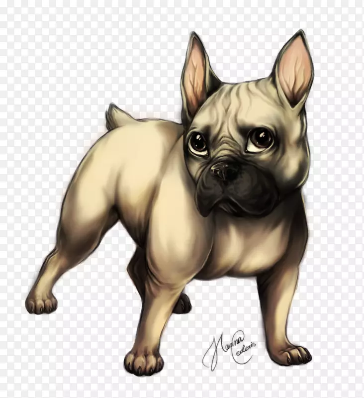 法国斗牛犬-斗牛犬