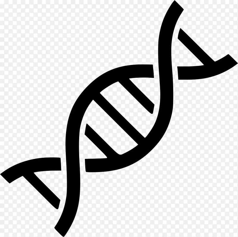 计算机图标dna遗传学核酸双螺旋SVG