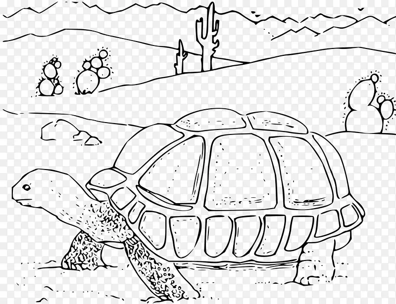 海龟，沙漠龟，着色书，剪贴画，着色