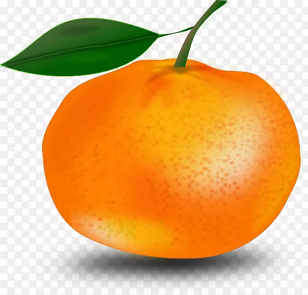 柑桔橘子夹艺术-番石榴