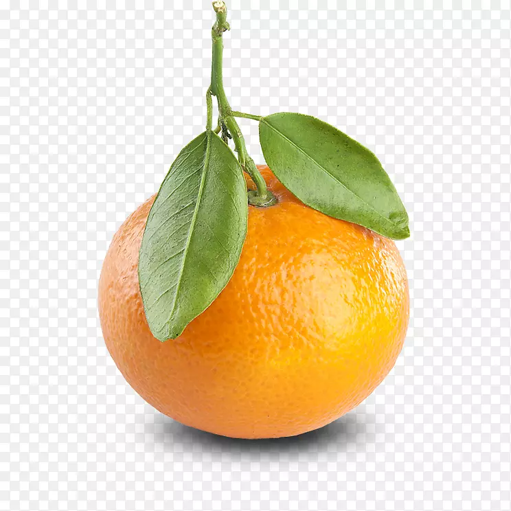 橘子，桔子，水果颜色-橘子
